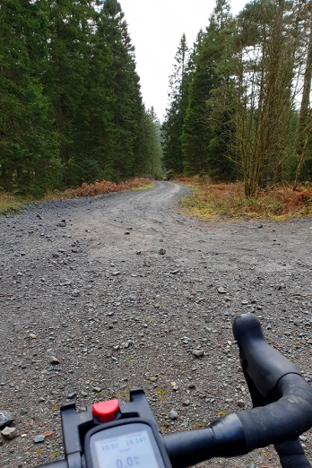 Gravel trails in Grizedale